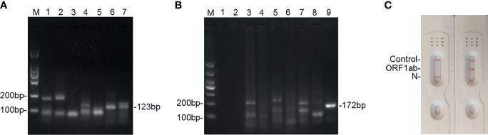 Figure 2