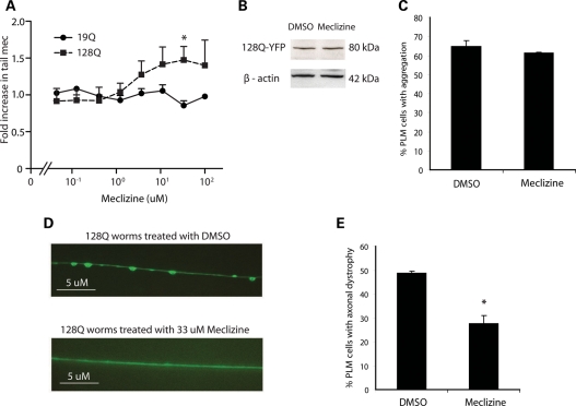 Figure 4.