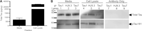 FIGURE 1.