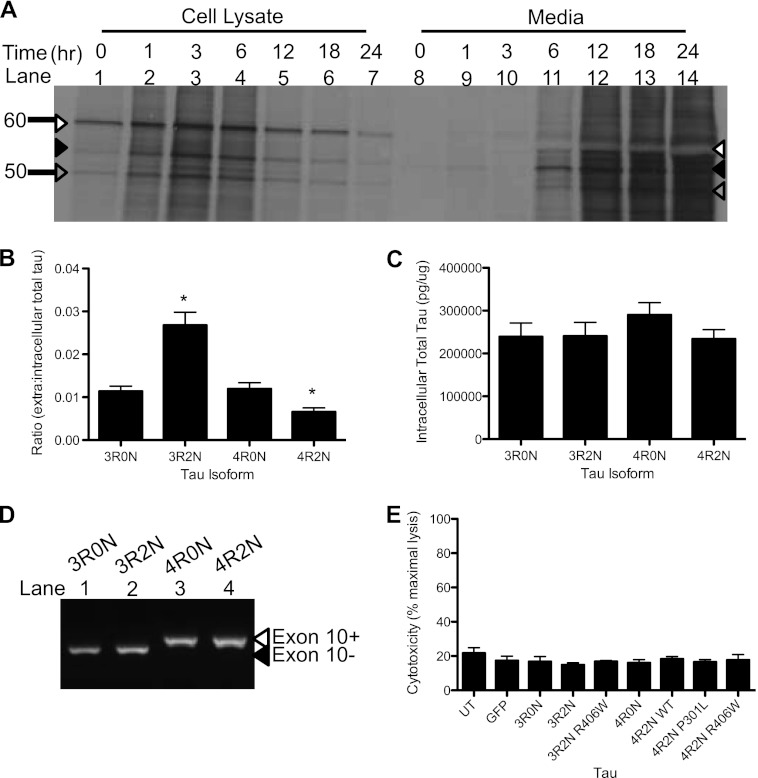 FIGURE 4.