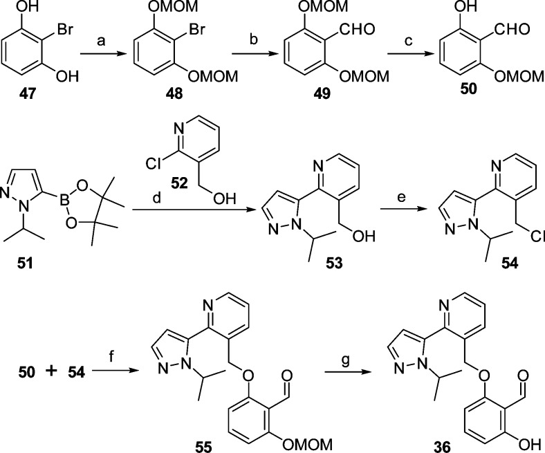 Scheme 1