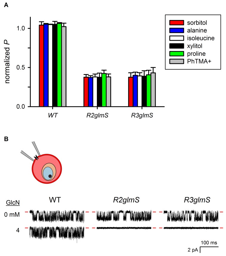 Figure 4—figure supplement 1.