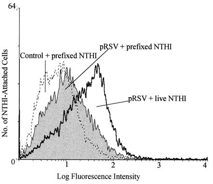 FIG. 5