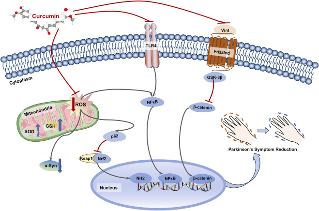 FIGURE 3