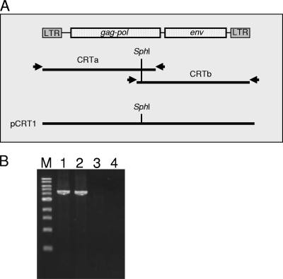 FIG. 1.