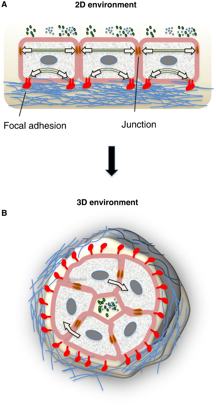 Fig. 4