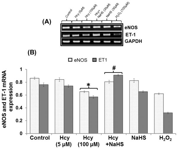 Fig. 13