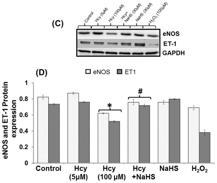 Fig. 13