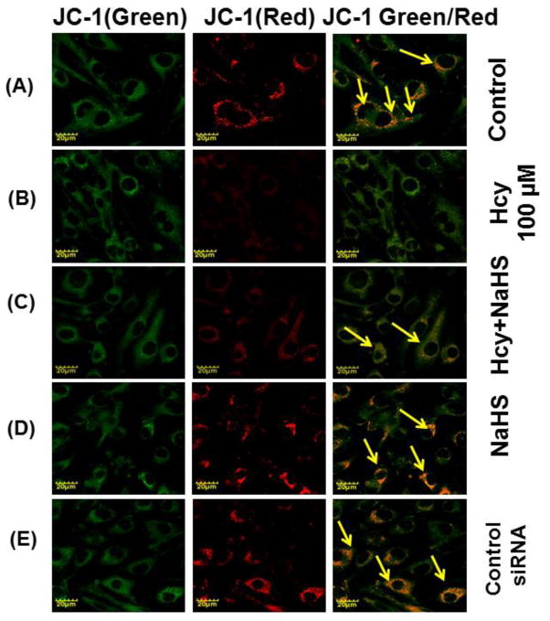 Fig. 9