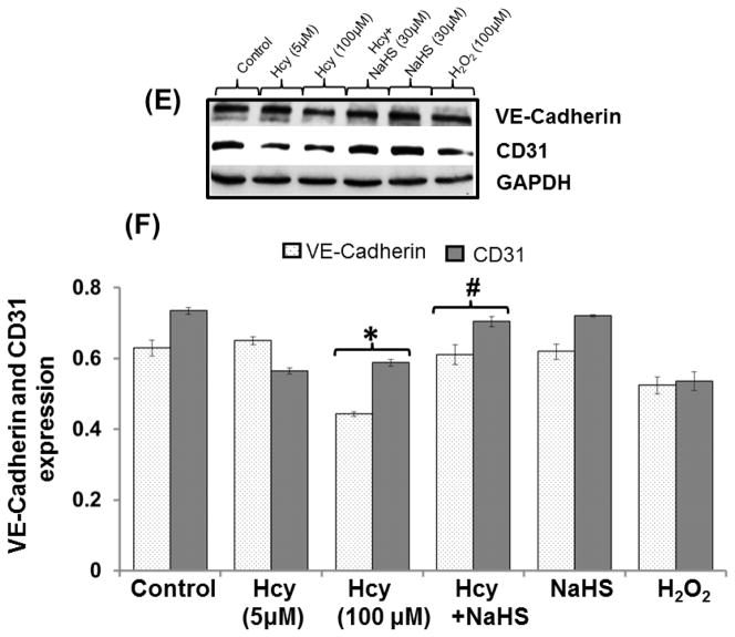 Fig. 13