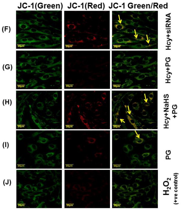 Fig. 9