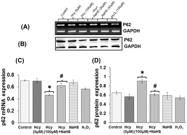 Fig. 11