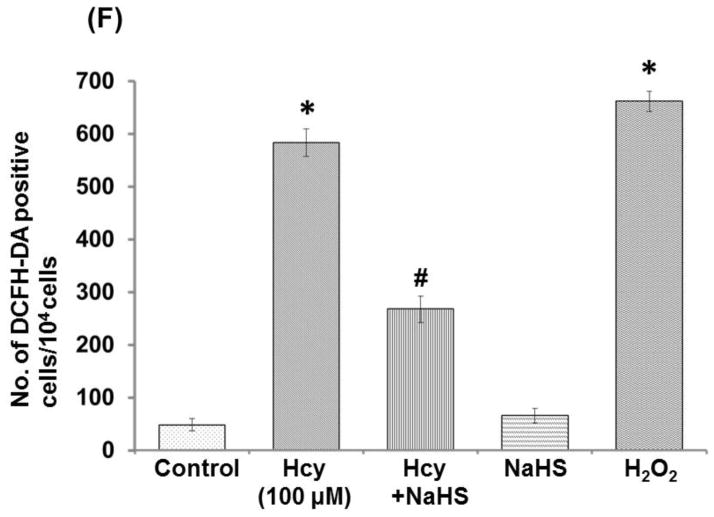 Fig. 7