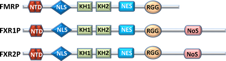 Fig.2