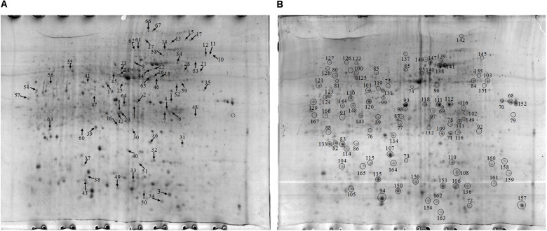 FIGURE 3