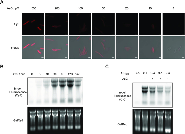 Figure 2.