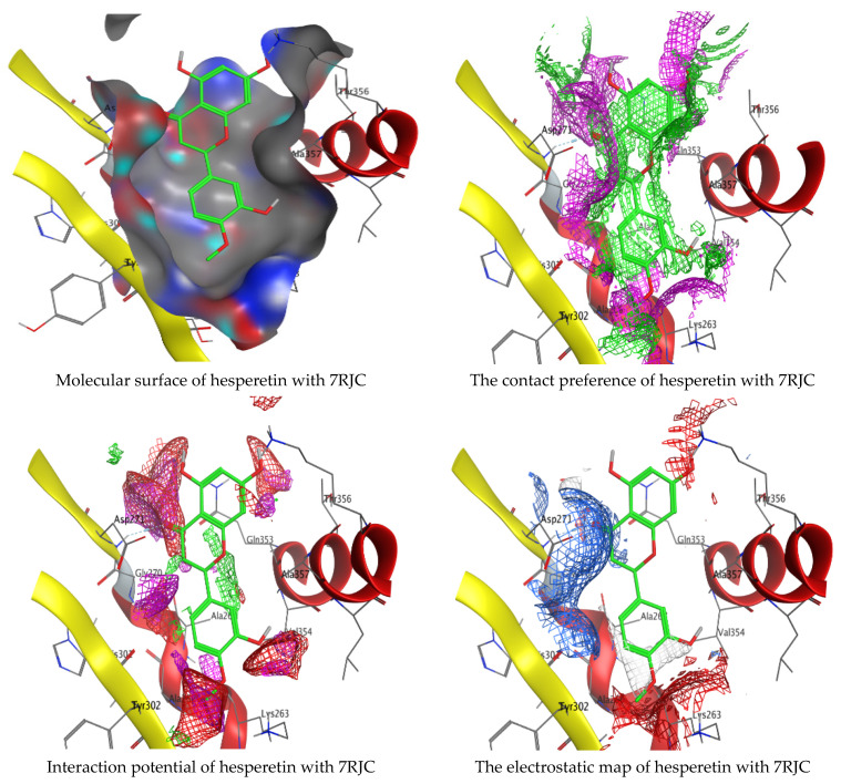 Figure 12
