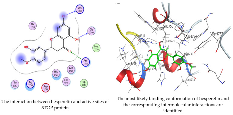 Figure 16