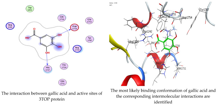 Figure 17