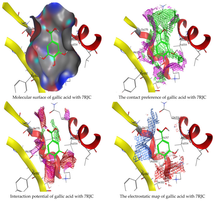 Figure 13