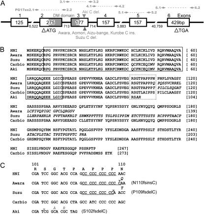 Figure 1.—