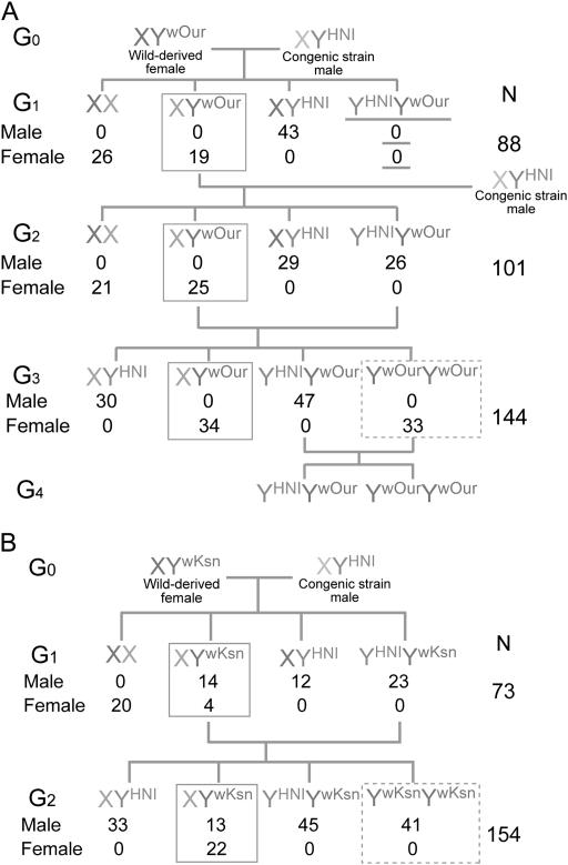 Figure 2.—