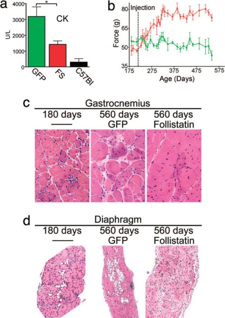 FIGURE 6