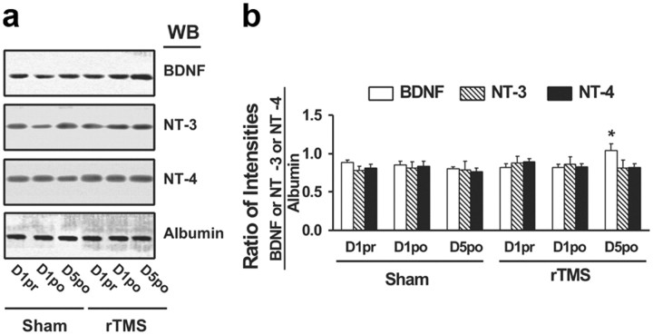 Figure 9.