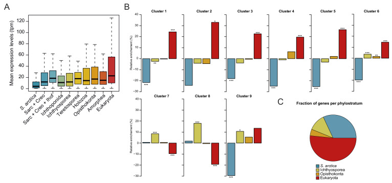 Figure 4—figure supplement 2.