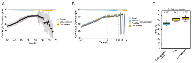 Figure 1—figure supplement 1.