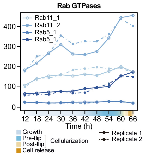 Figure 5—figure supplement 1.