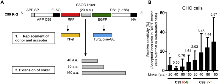 Figure 4