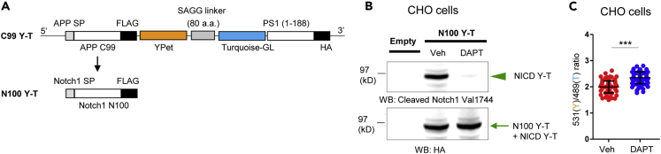 Figure 5