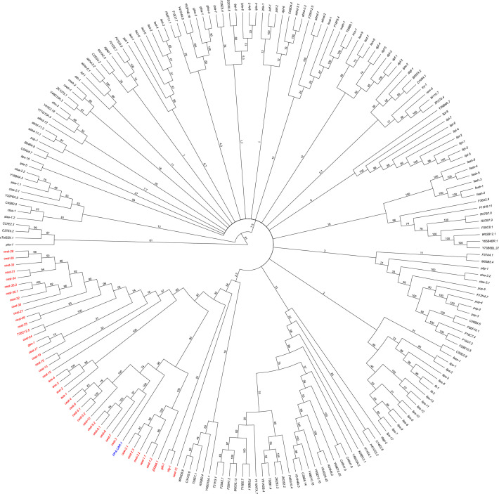 Figure 1—figure supplement 1.