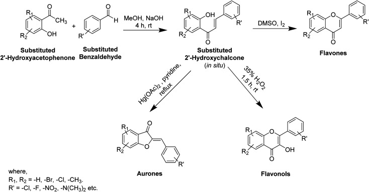 Scheme 1