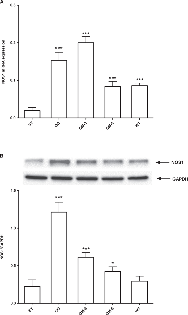 Fig.2