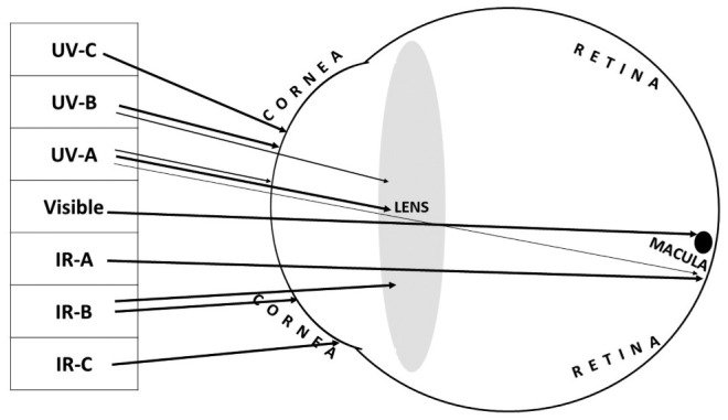 Figure 1.