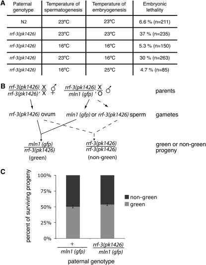 Figure 3.—