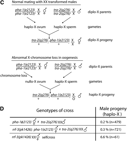 Figure 1.—