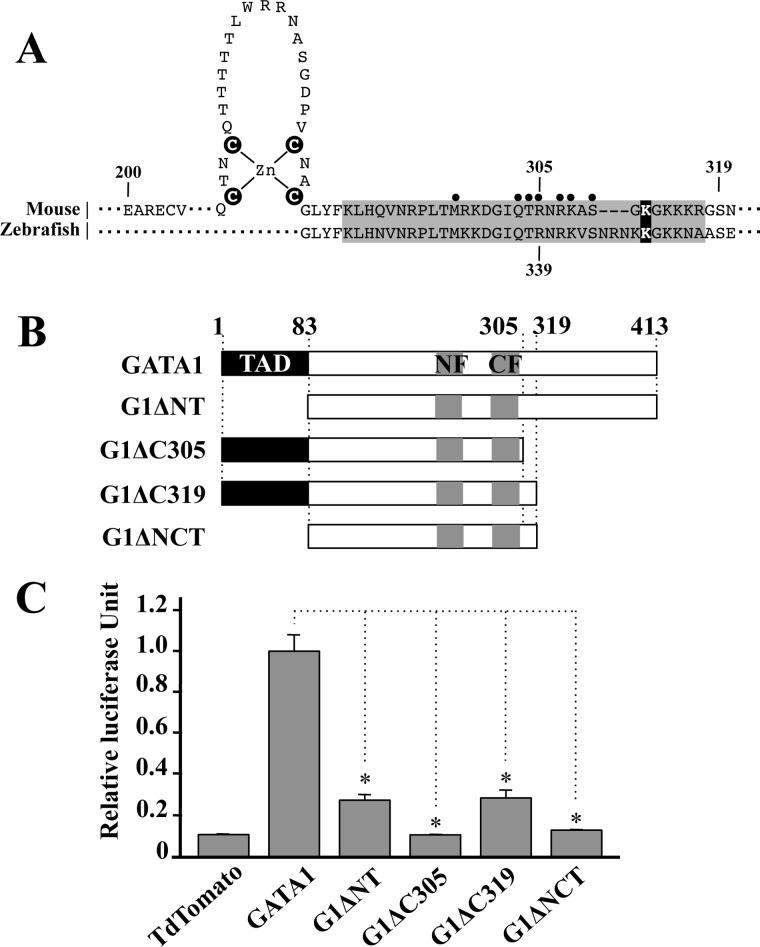 FIGURE 1.