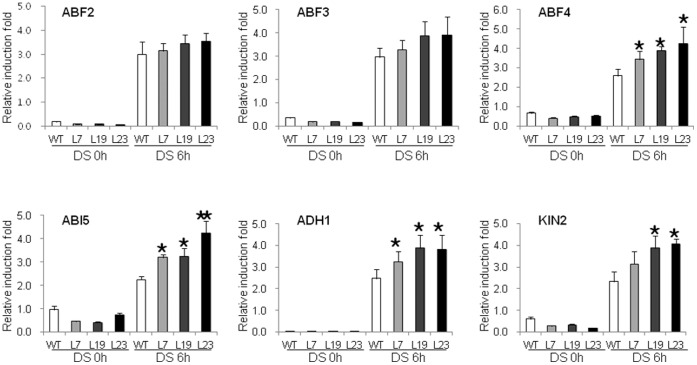 Figure 6