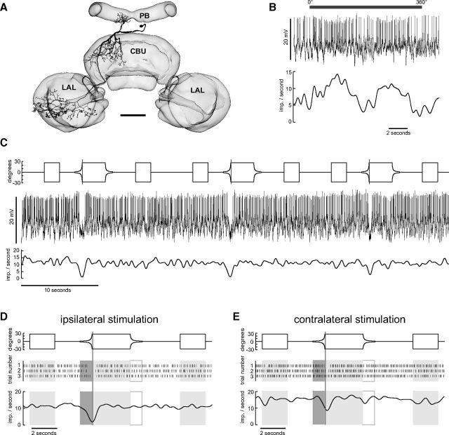 Figure 7.