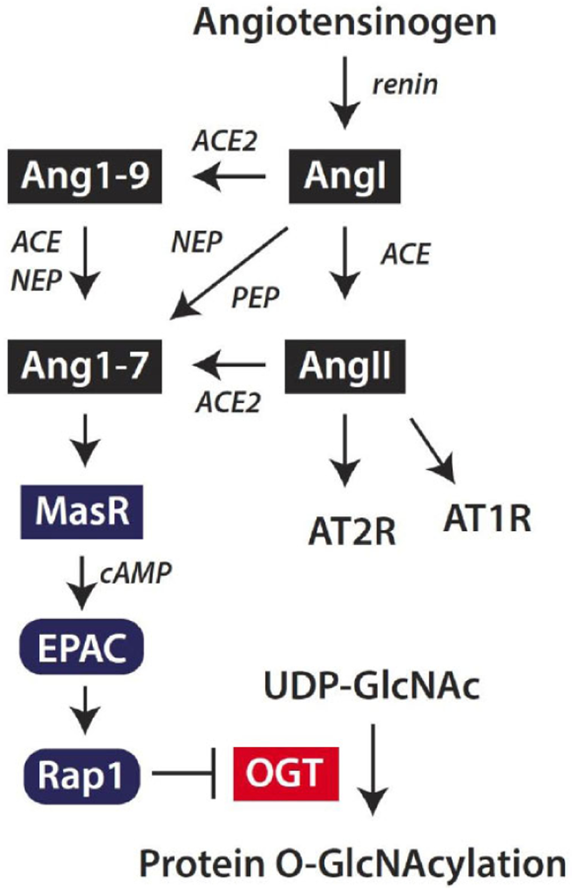 Fig. (5).