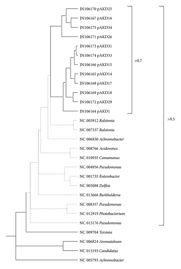 Figure 5