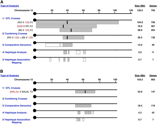 Figure 1.—