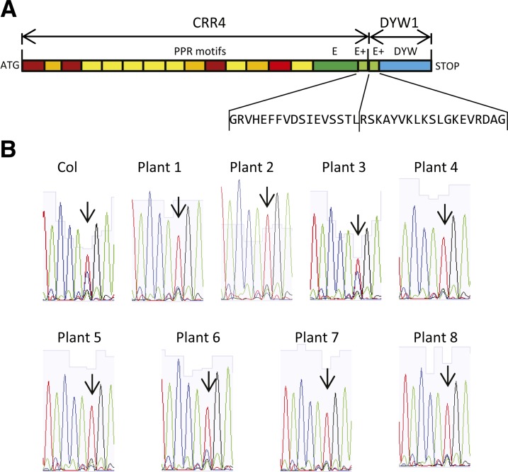 Figure 7.