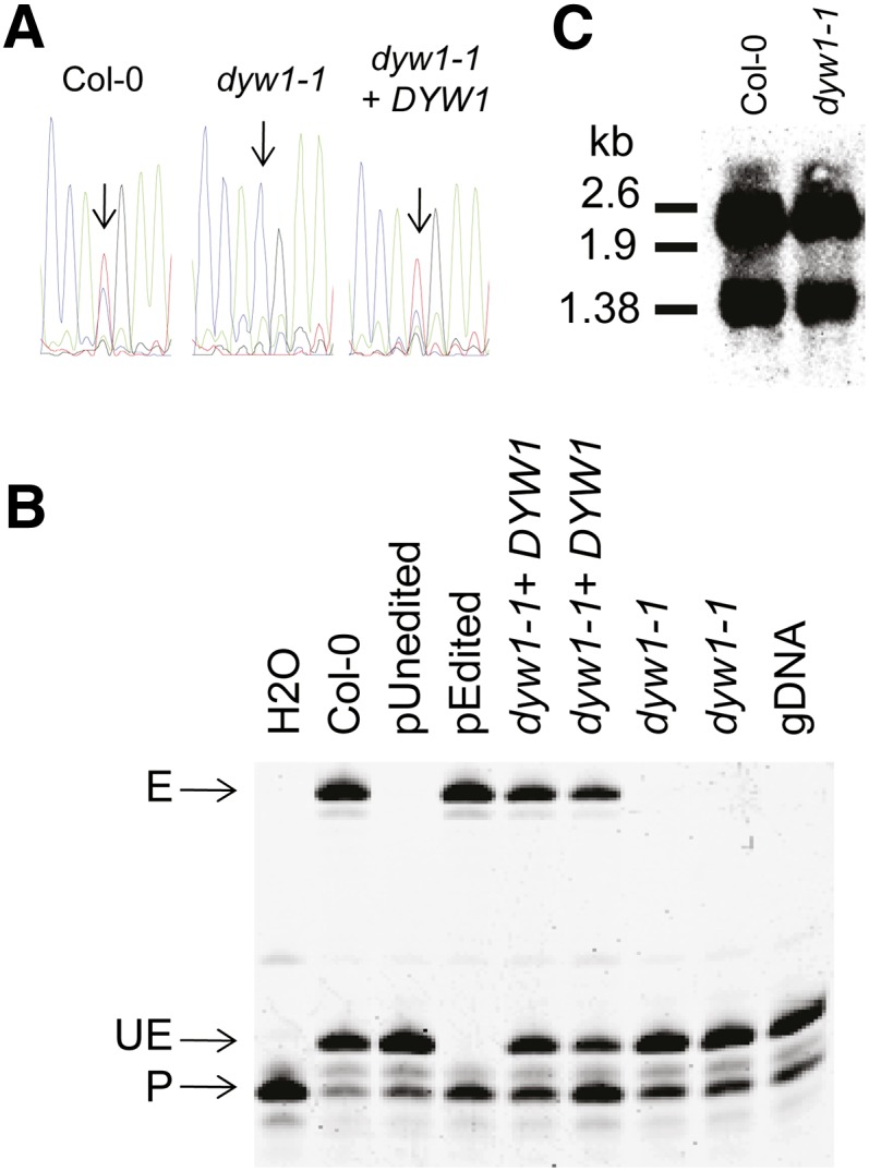 Figure 3.