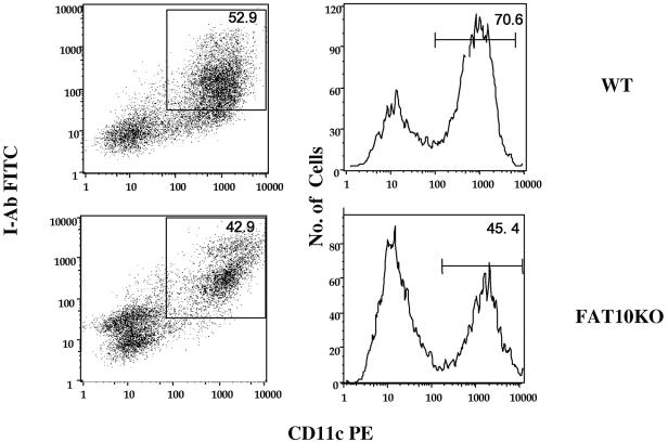 FIG. 8.