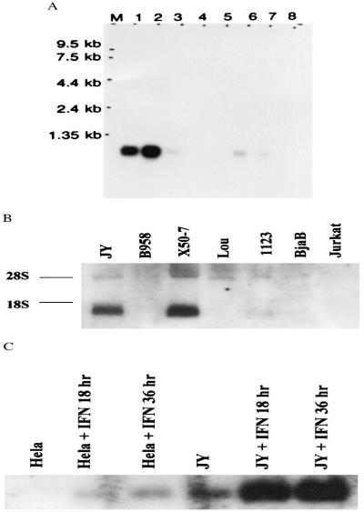 FIG. 5.