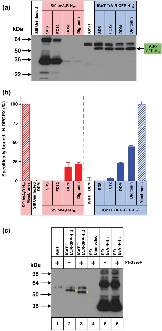 Fig. 7